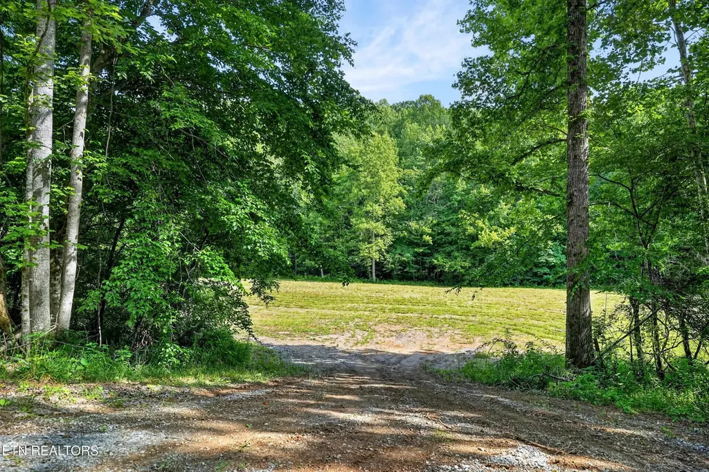 0 Buffalo Cove Lane Jamestown TN 38556