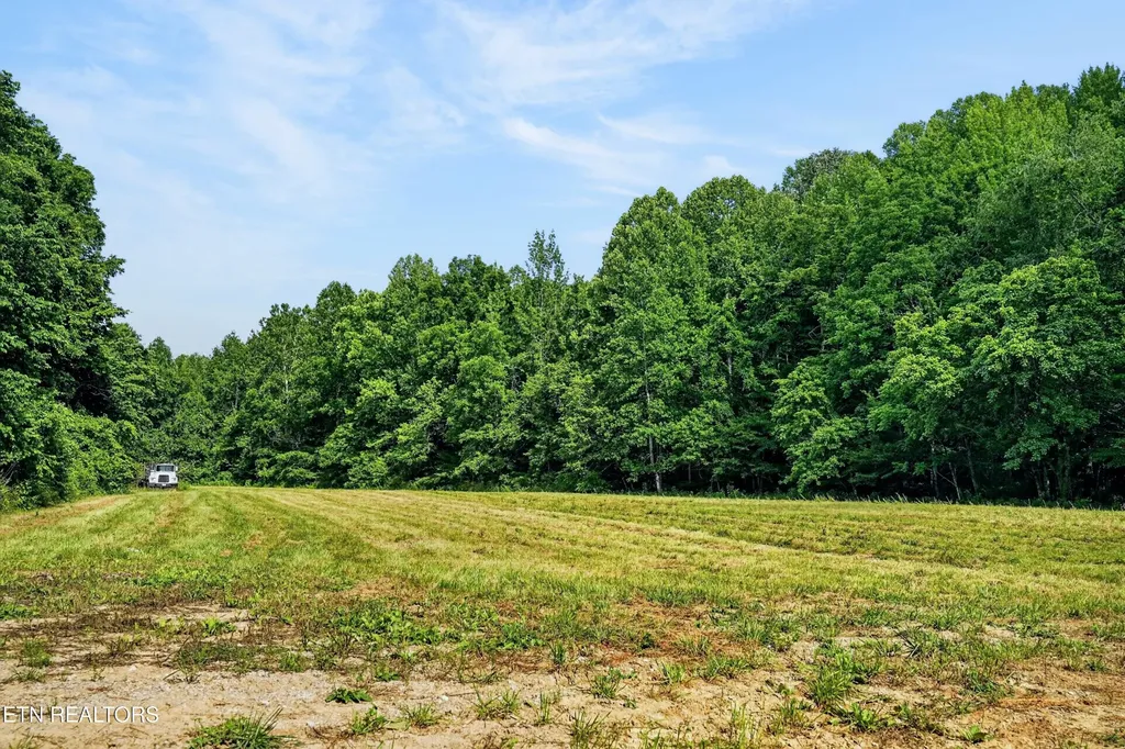 0 Buffalo Cove Lane Jamestown TN 38556