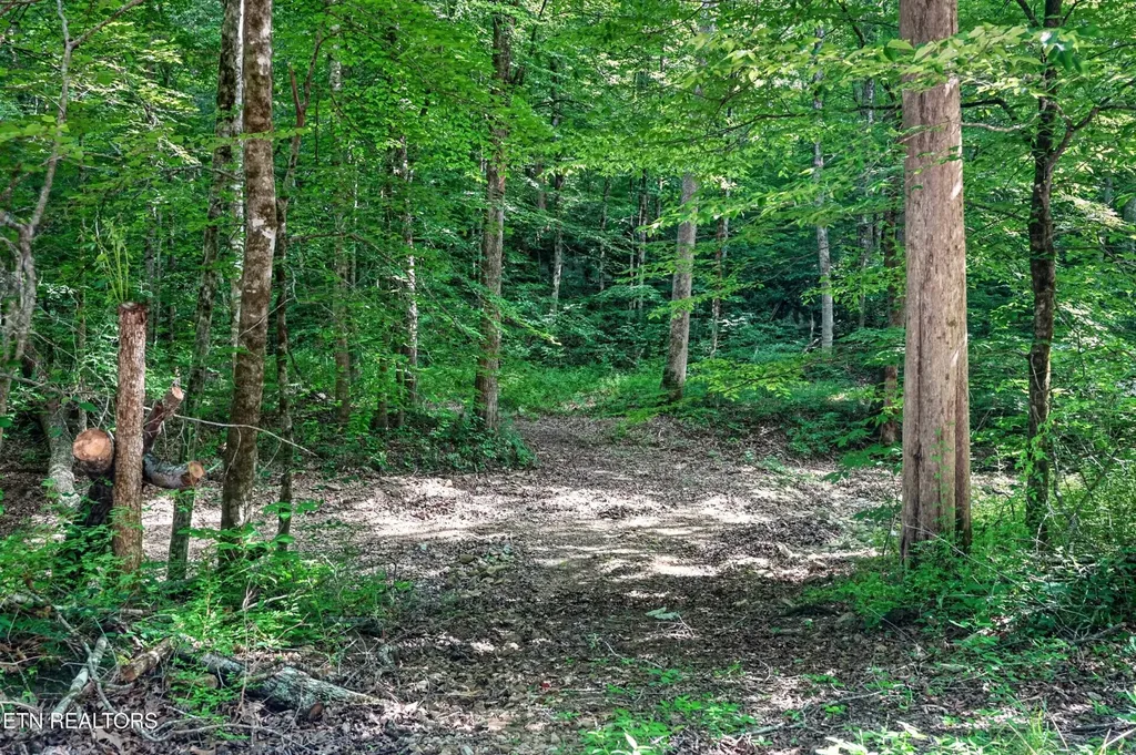 0 Buffalo Cove Lane Jamestown TN 38556