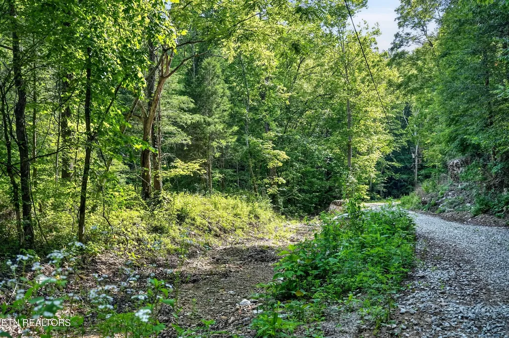 0 Buffalo Cove Lane Jamestown TN 38556