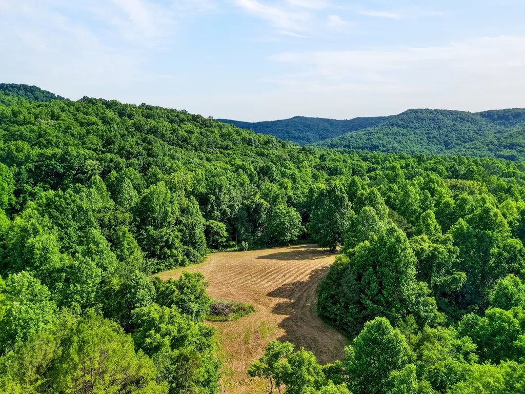 0 Buffalo Cove Lane Jamestown TN 38556