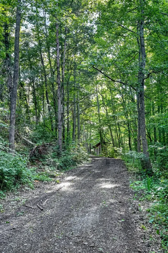 0 Buffalo Cove Lane Jamestown TN 38556