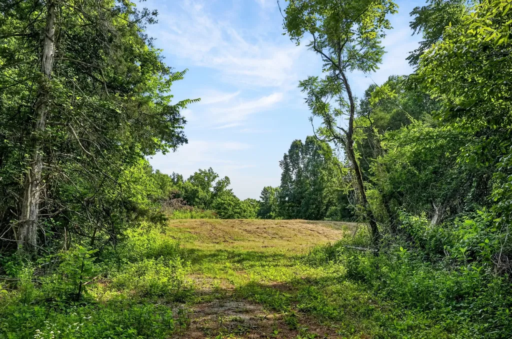 0 Buffalo Cove Lane Jamestown TN 38556
