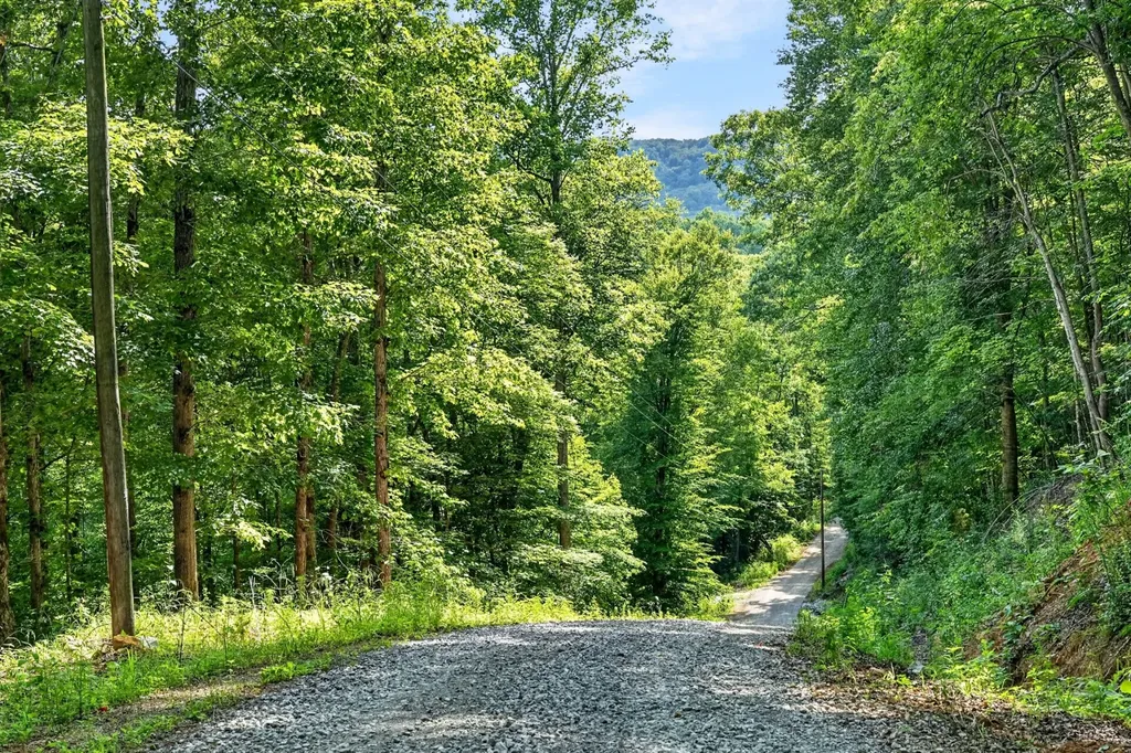 0 Buffalo Cove Lane Jamestown TN 38556