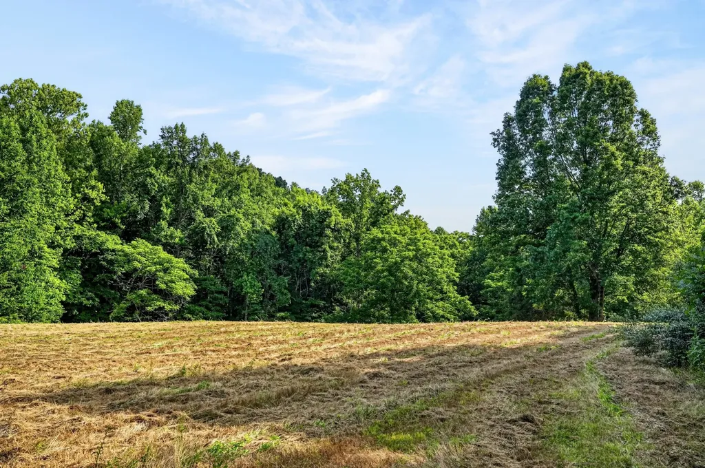 0 Buffalo Cove Lane Jamestown TN 38556
