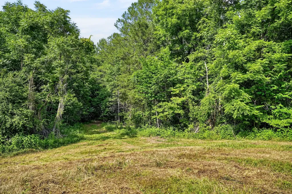 0 Buffalo Cove Lane Jamestown TN 38556