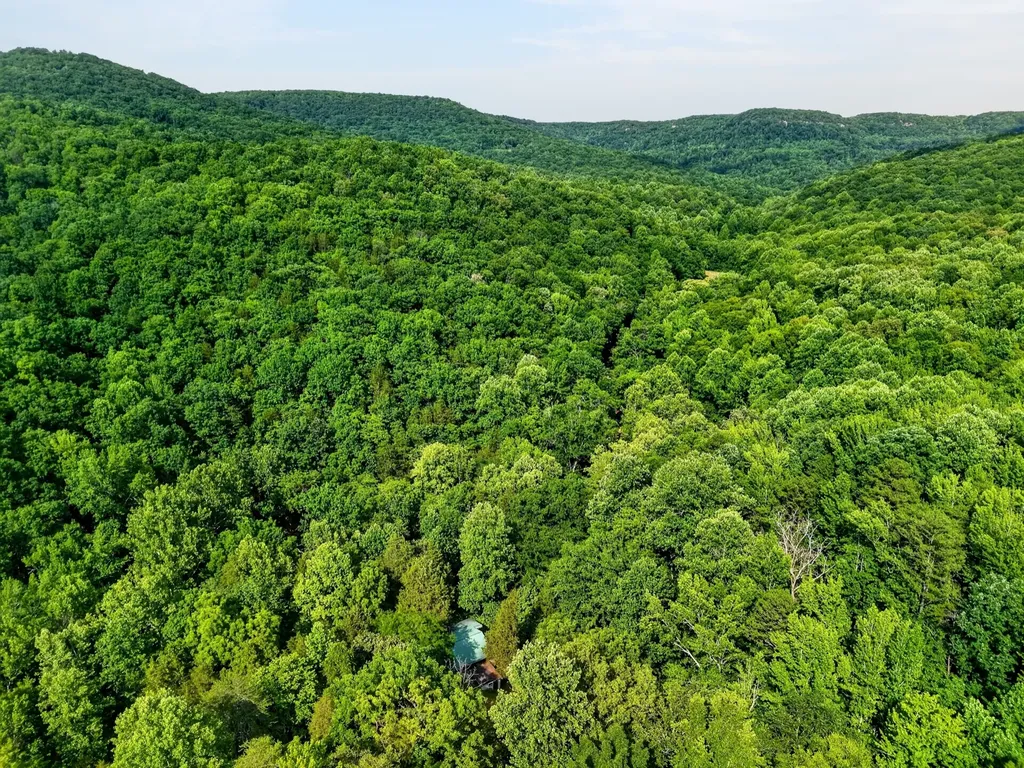 0 Buffalo Cove Lane Jamestown TN 38556