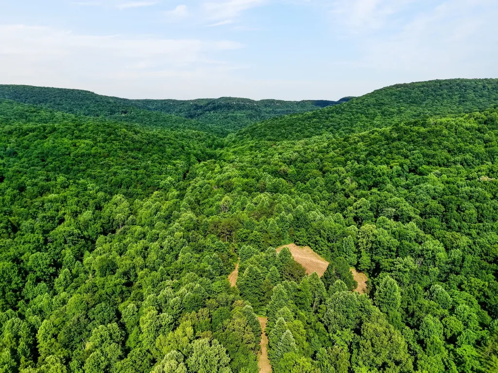 0 Buffalo Cove Lane Jamestown TN 38556