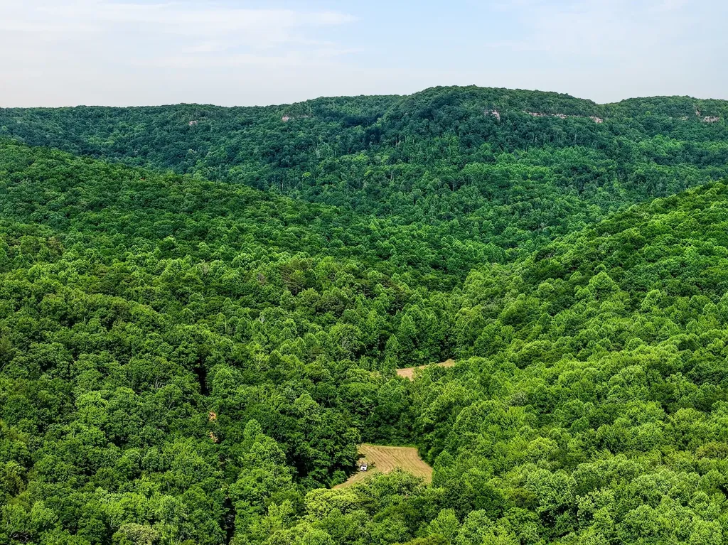 0 Buffalo Cove Lane Jamestown TN 38556