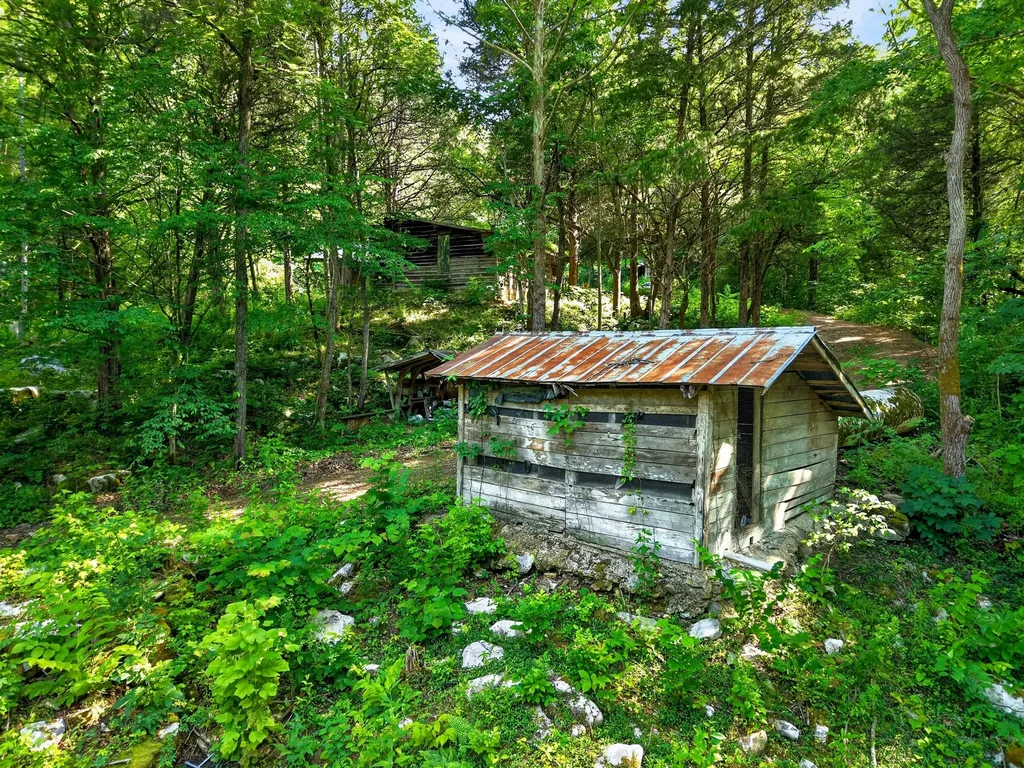 0 Buffalo Cove Lane Jamestown TN 38556
