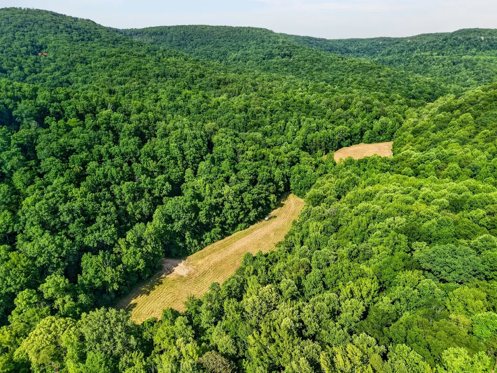 0 Buffalo Cove Lane Jamestown TN 38556