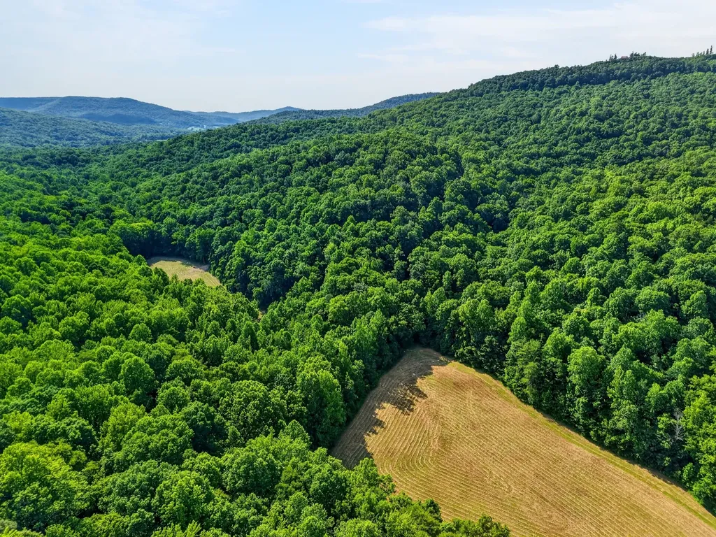 0 Buffalo Cove Lane Jamestown TN 38556