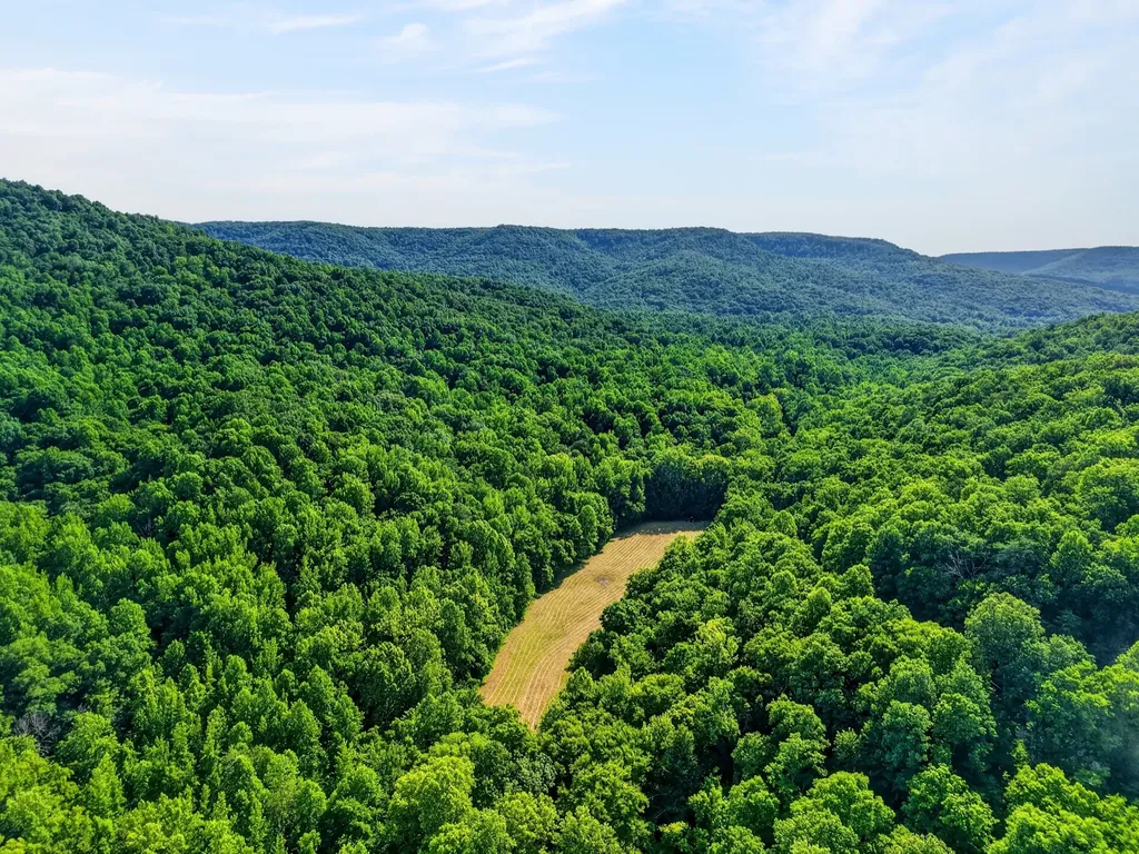 0 Buffalo Cove Lane Jamestown TN 38556