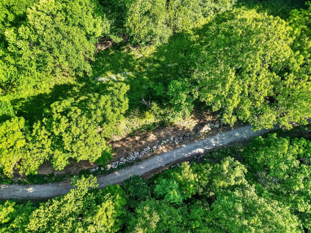 0 Buffalo Cove Lane Jamestown TN 38556