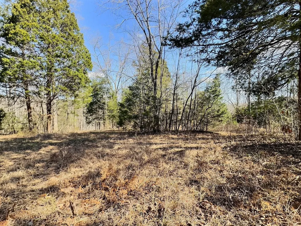 7307 Brush Creek Road Fairview TN 37062