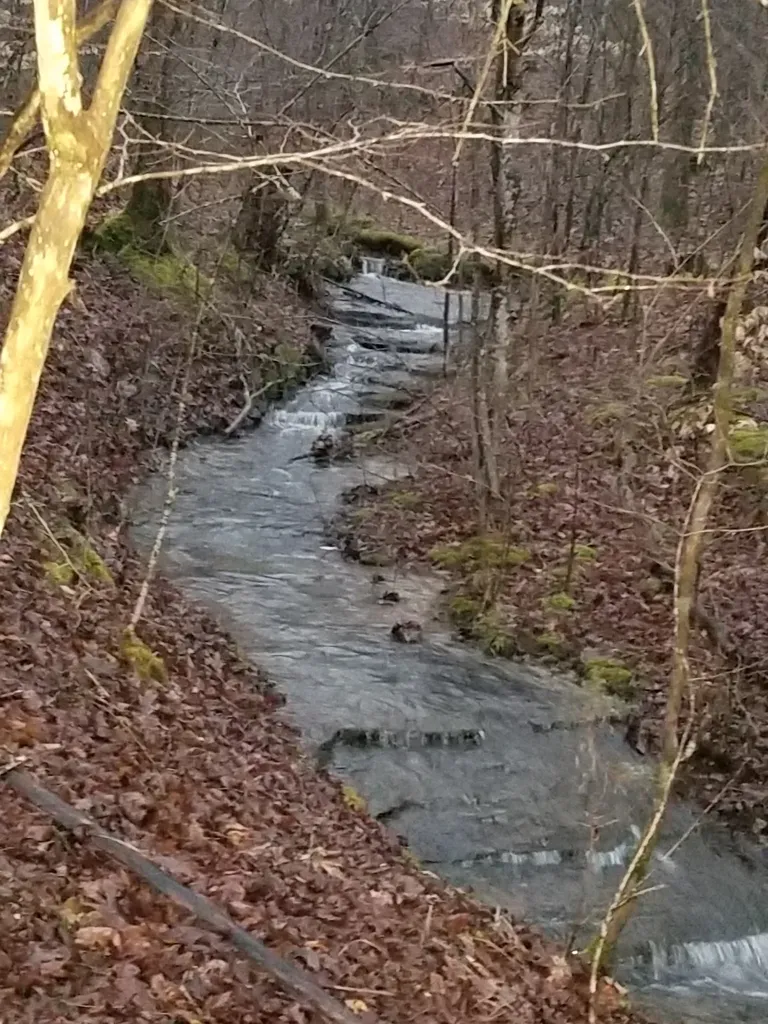 7307 Brush Creek Road Fairview TN 37062