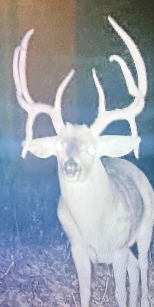 0 Badger Lane Carthage TN 37030
