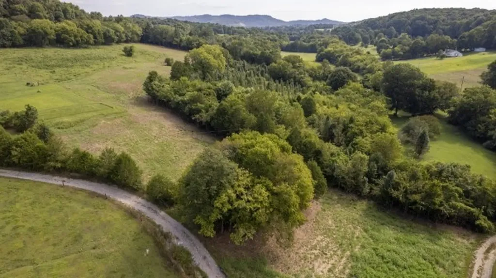 0 Badger Lane Carthage TN 37030