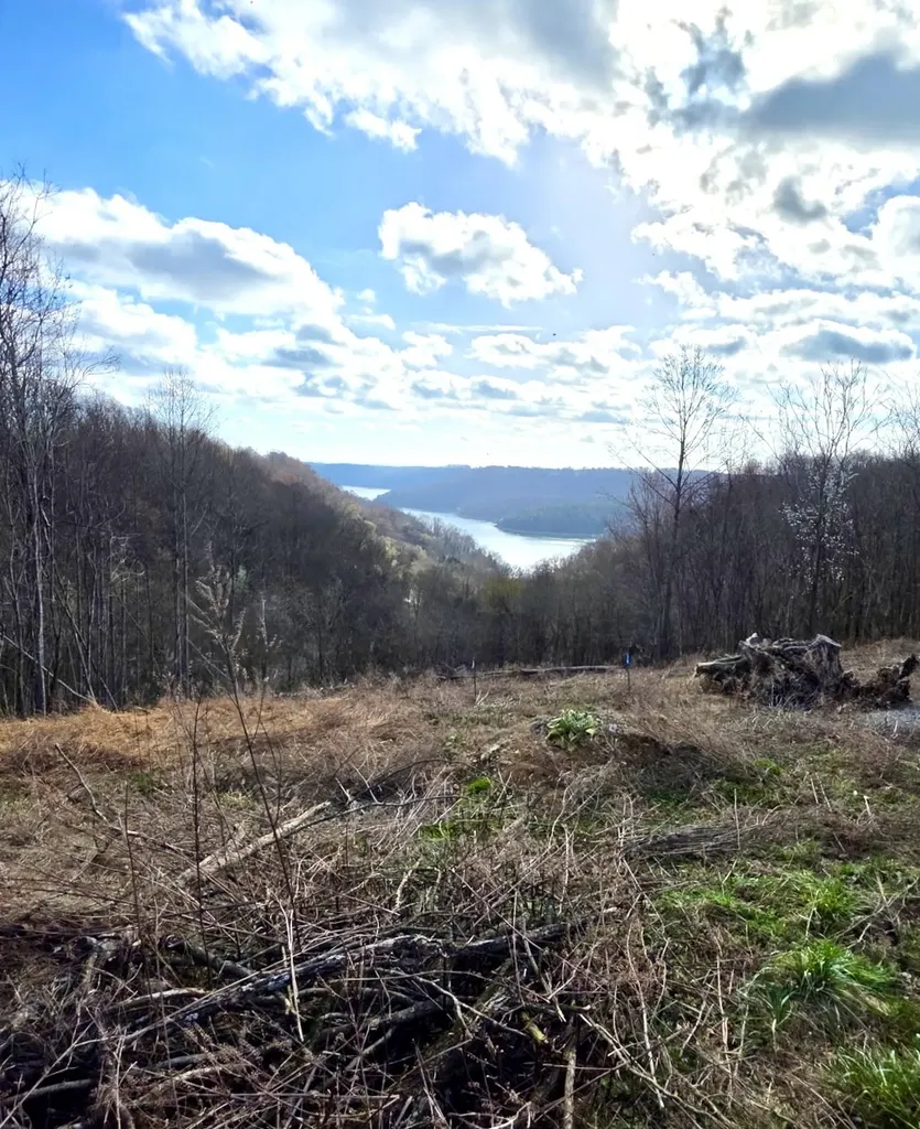 109 Deer Path Court Smithville TN 37166