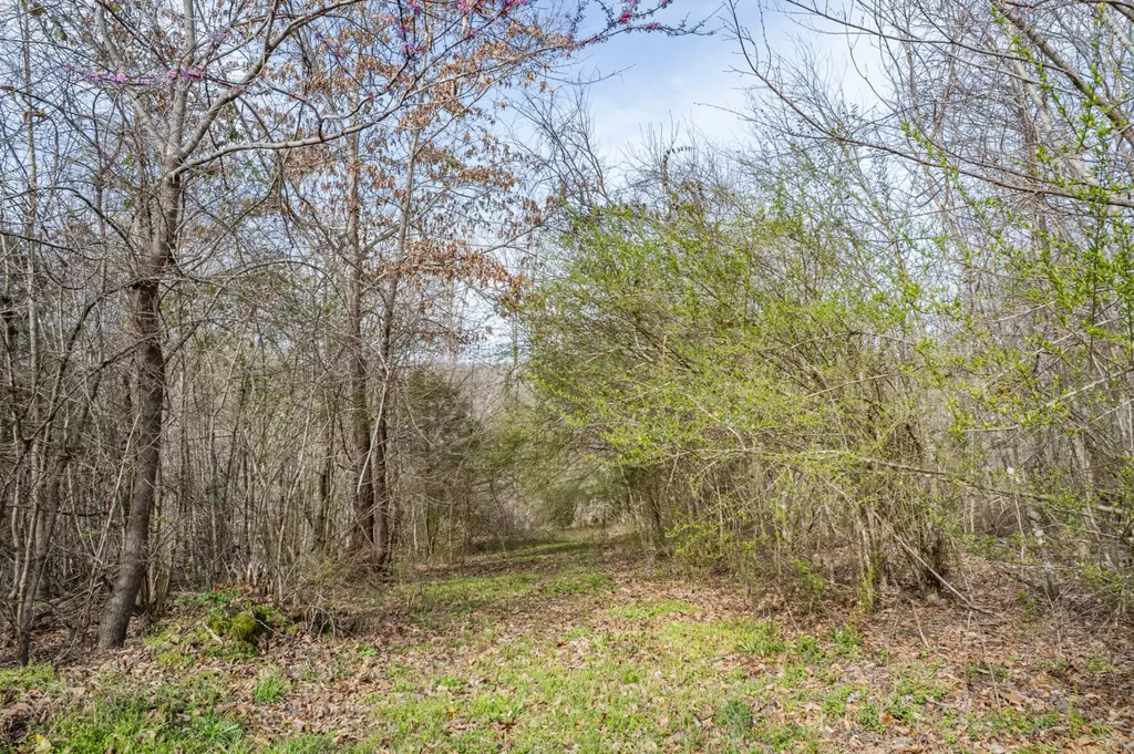 321 Old Sr 48 Centerville TN 37033