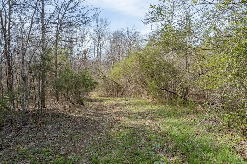 321 Old Sr 48 Centerville TN 37033