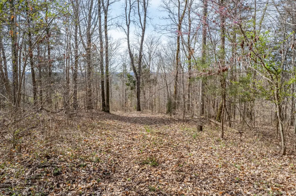 321 Old Sr 48 Centerville TN 37033