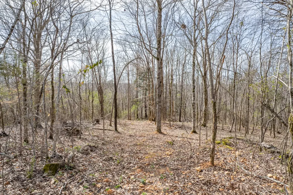 321 Old Sr 48 Centerville TN 37033