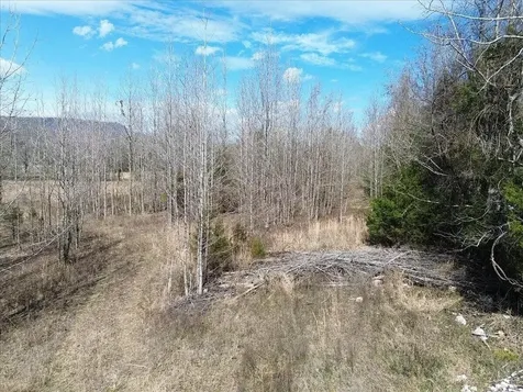0 Francis Springs Road Whitwell TN 37397