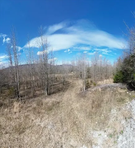 0 Francis Springs Road Whitwell TN 37397