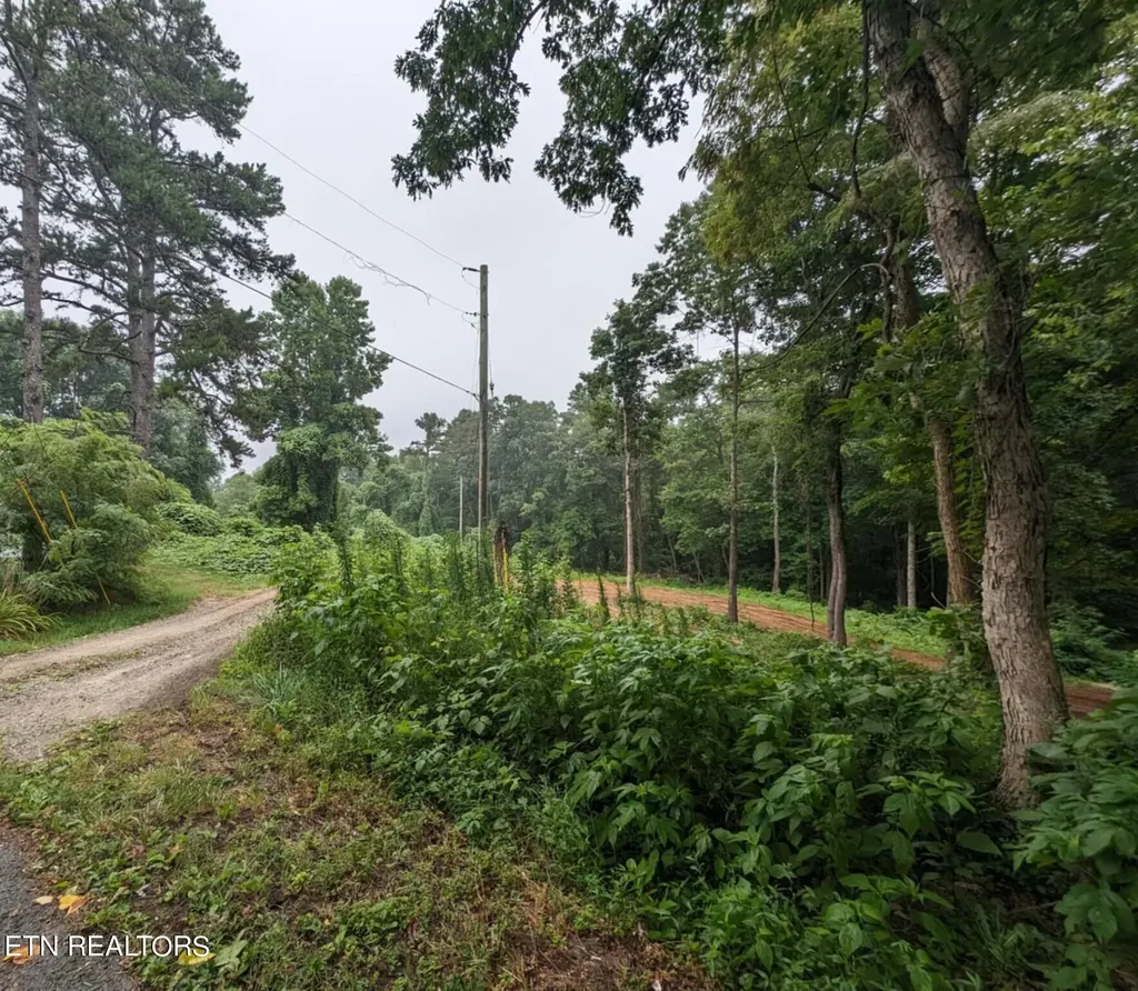 248 N Norris Street Jamestown TN 38556