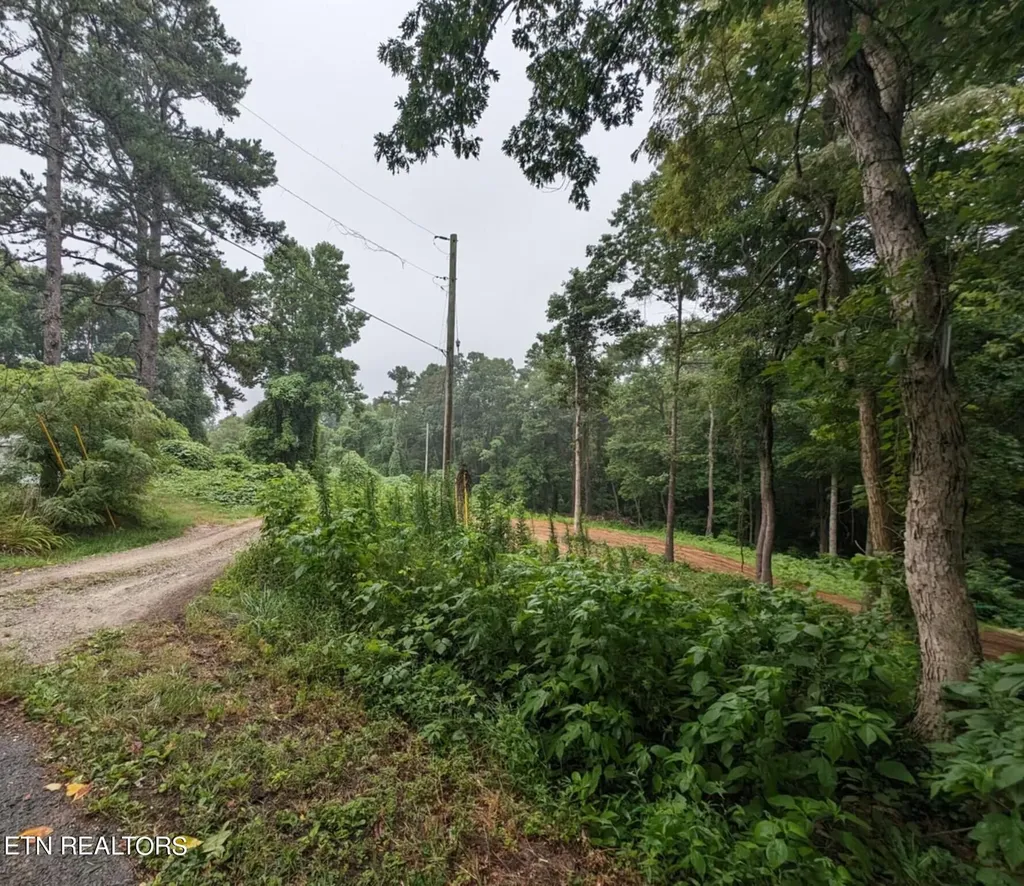 248 N Norris Street Jamestown TN 38556