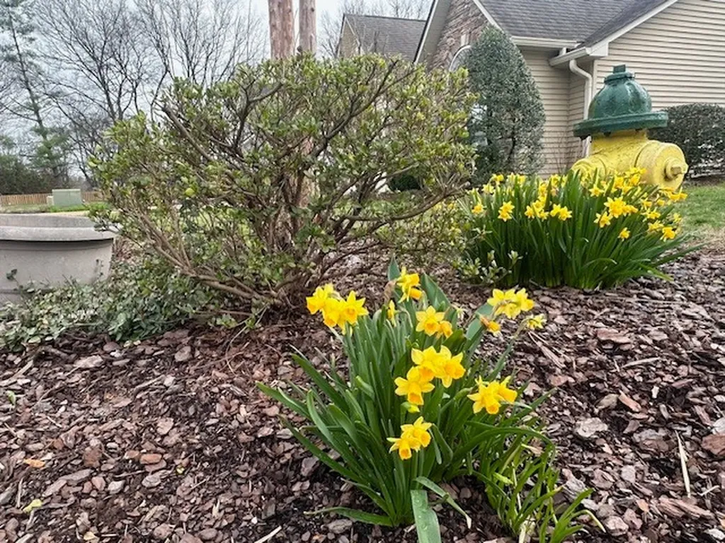5000 Lancelot Court Columbia TN 38401