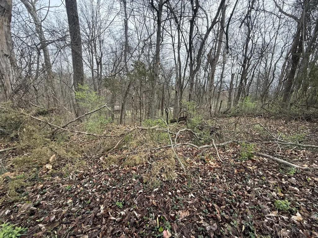 1915 Appomattox Drive Lebanon TN 37087