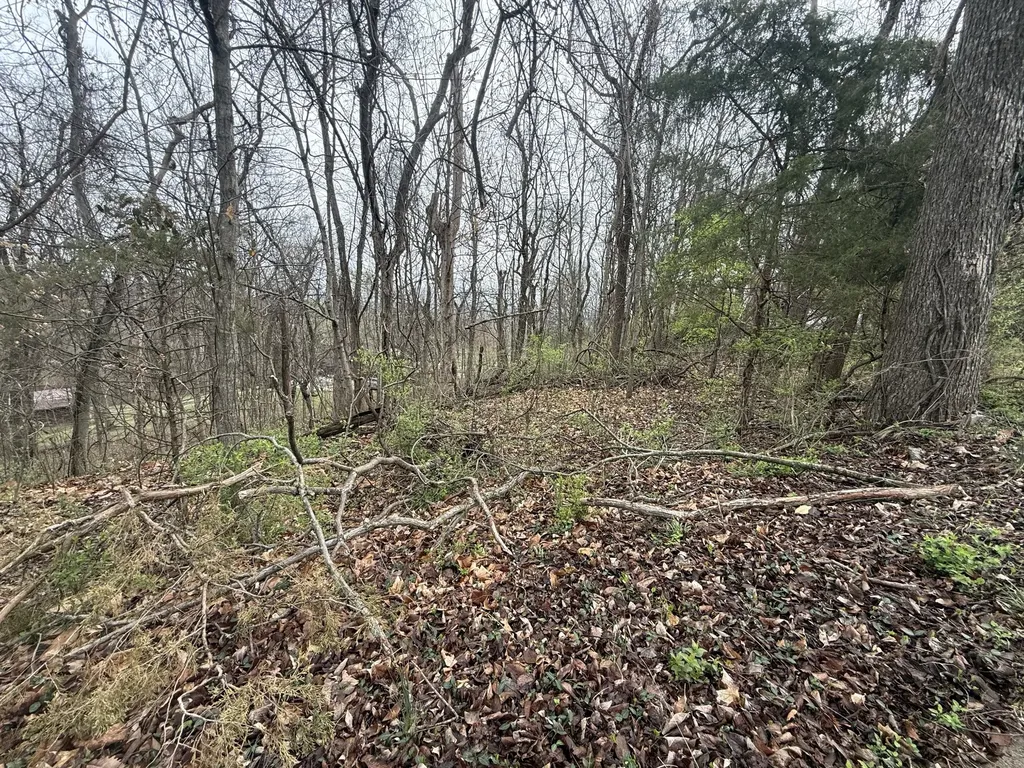 1915 Appomattox Drive Lebanon TN 37087