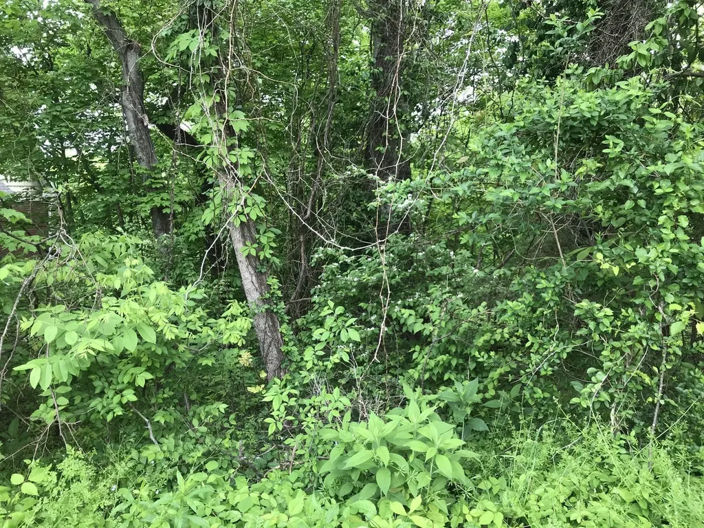 1915 Appomattox Drive Lebanon TN 37087