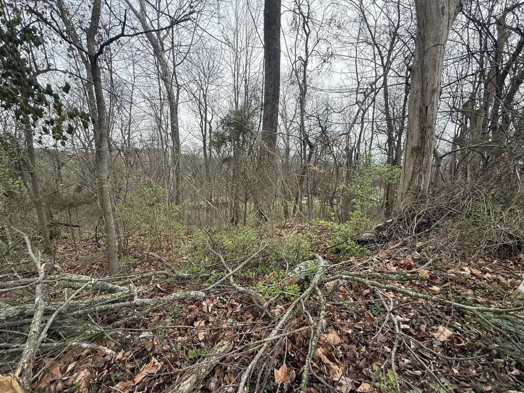1915 Appomattox Drive Lebanon TN 37087