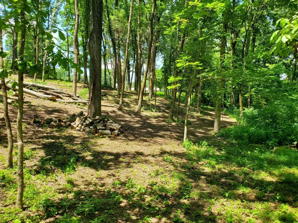 1930 Arlington Road Lebanon TN 37087