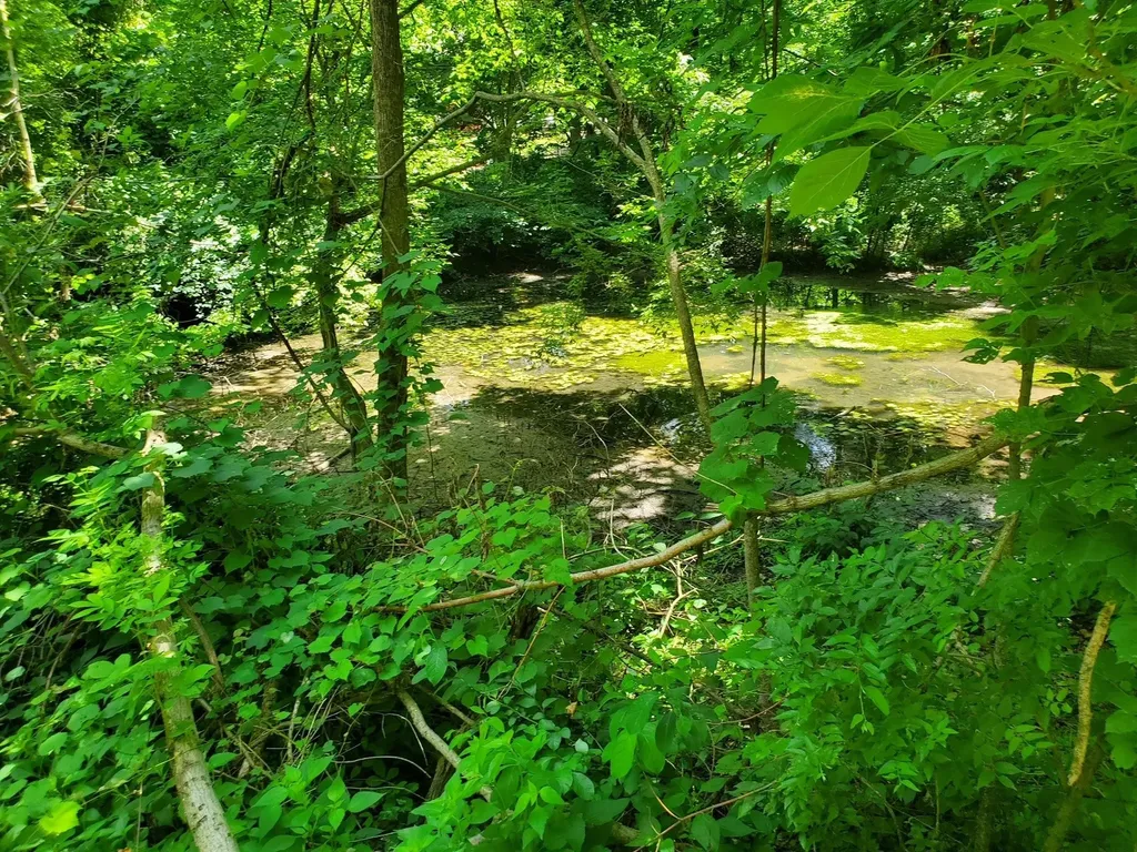 1930 Arlington Road Lebanon TN 37087