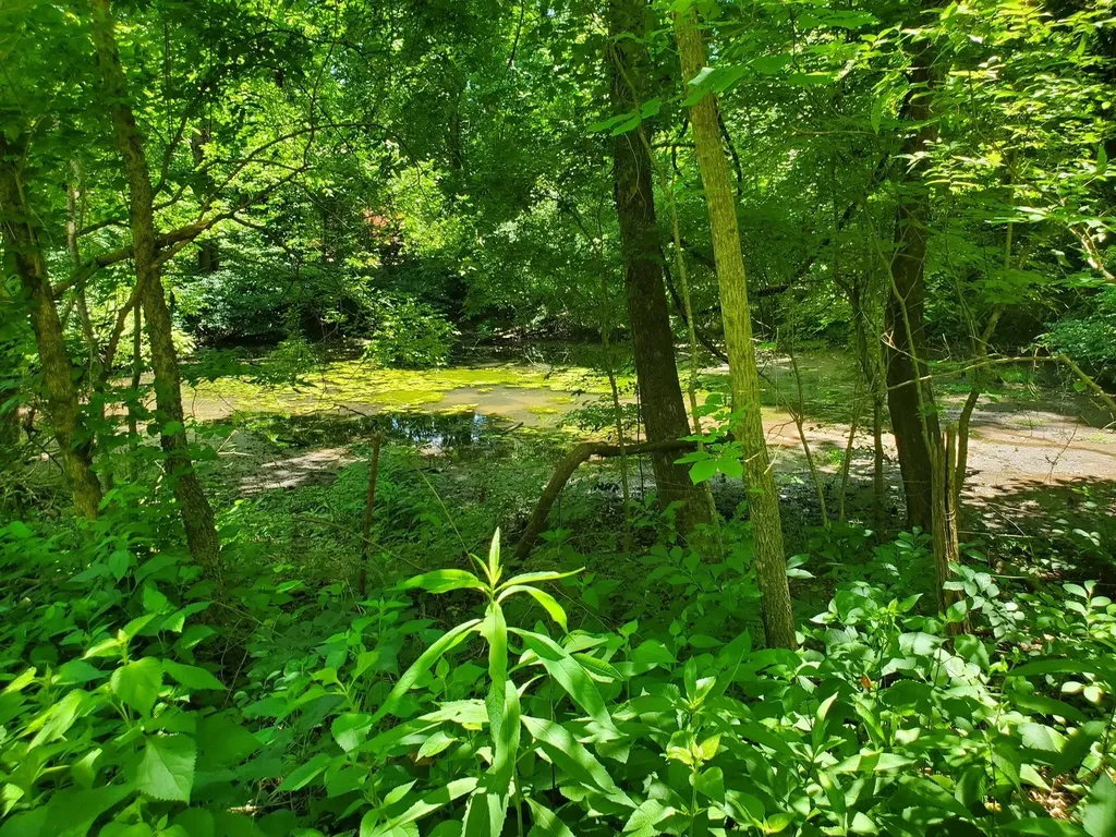 1930 Arlington Road Lebanon TN 37087