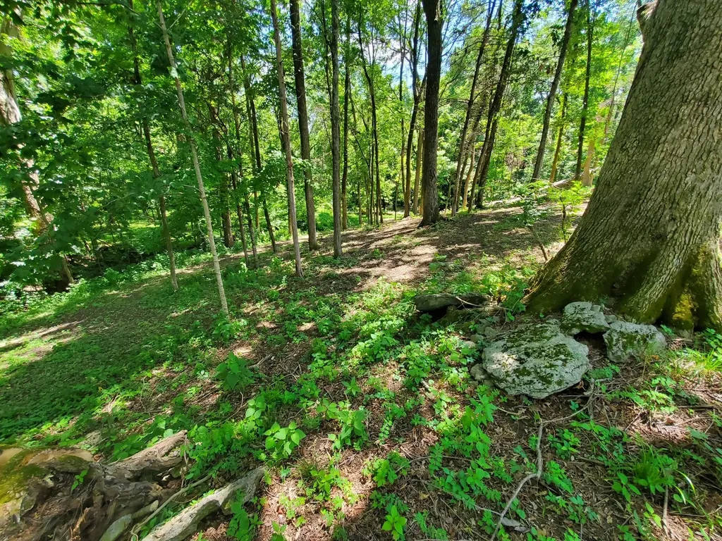 1930 Arlington Road Lebanon TN 37087