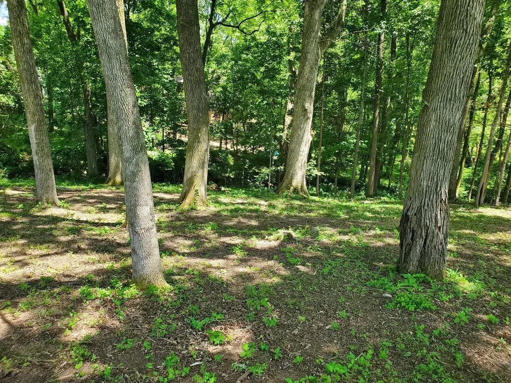 1930 Arlington Road Lebanon TN 37087