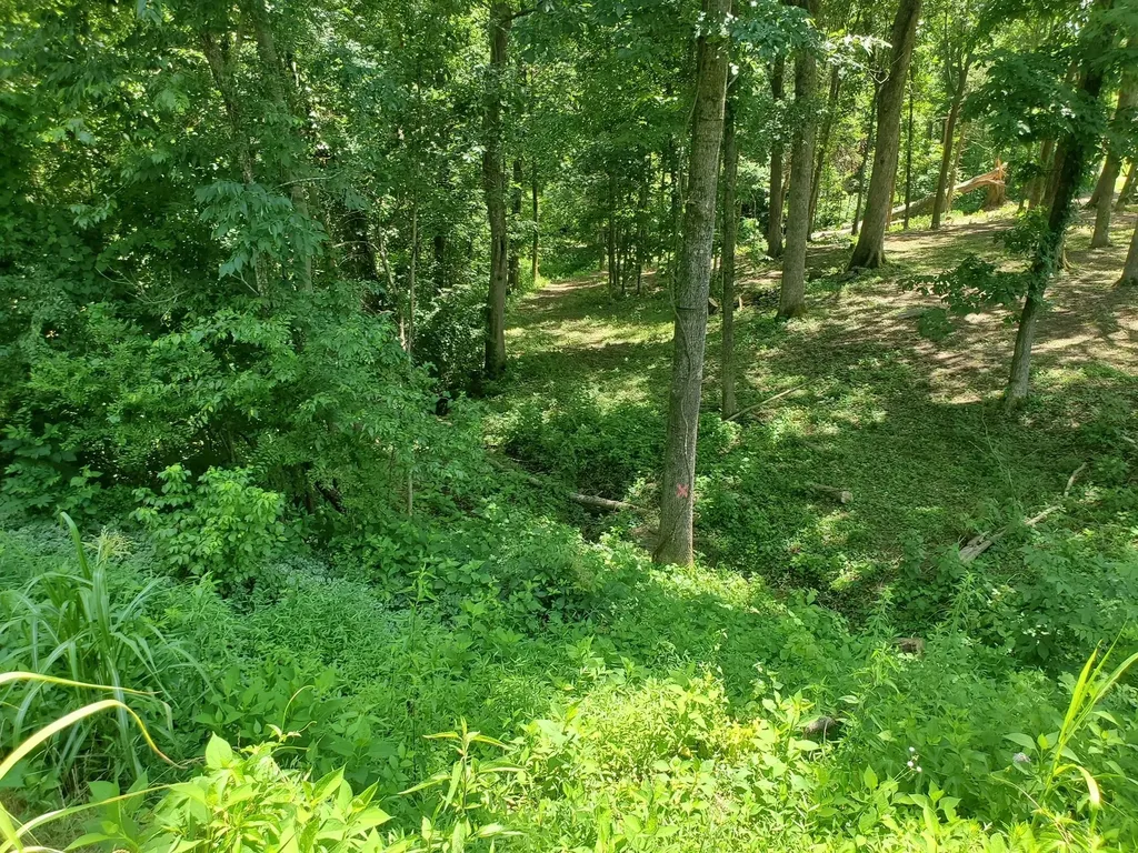 1930 Arlington Road Lebanon TN 37087