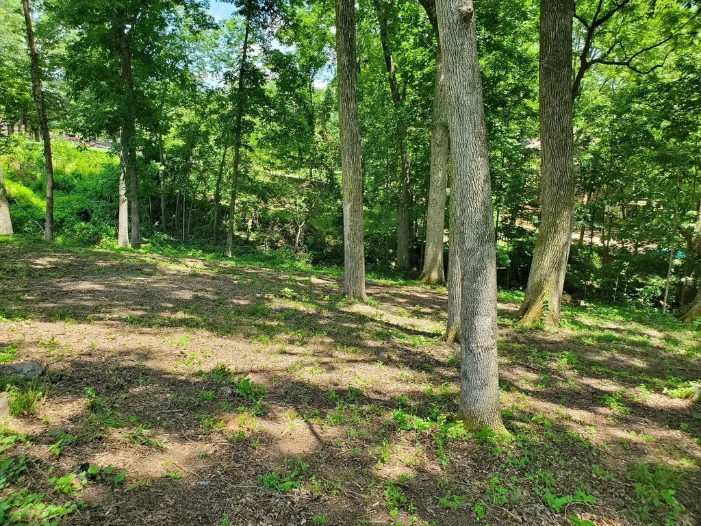 1930 Arlington Road Lebanon TN 37087