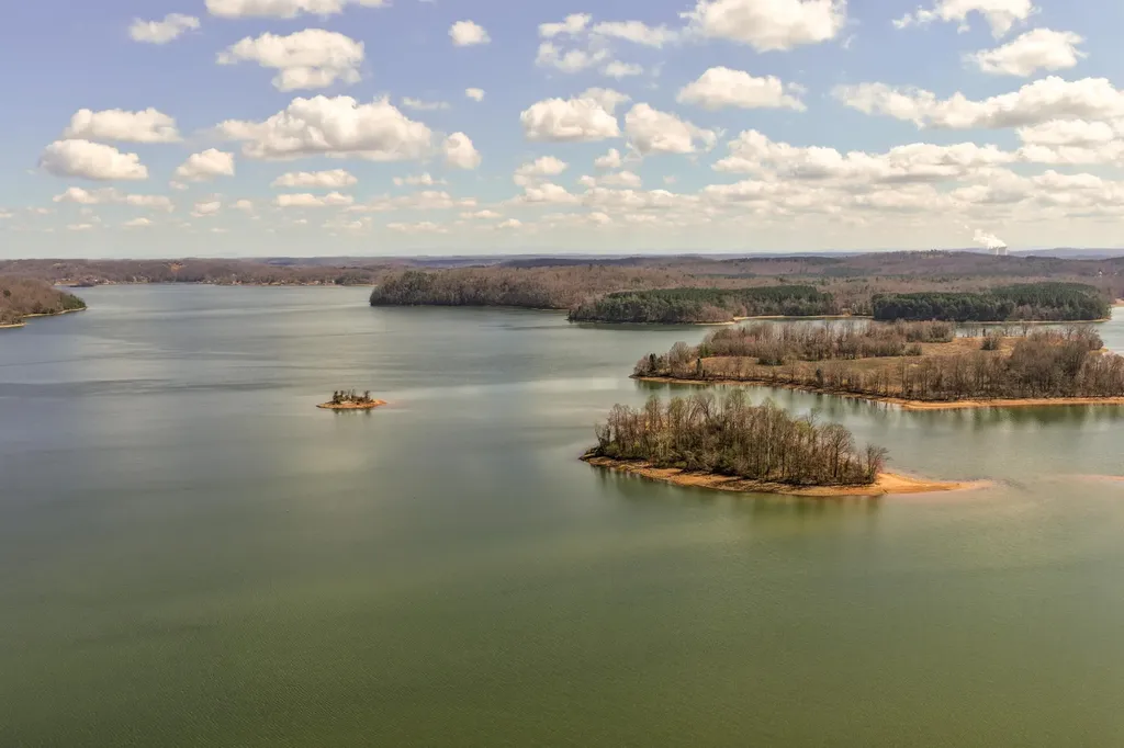1235 New Lake Road Spring City TN 37381