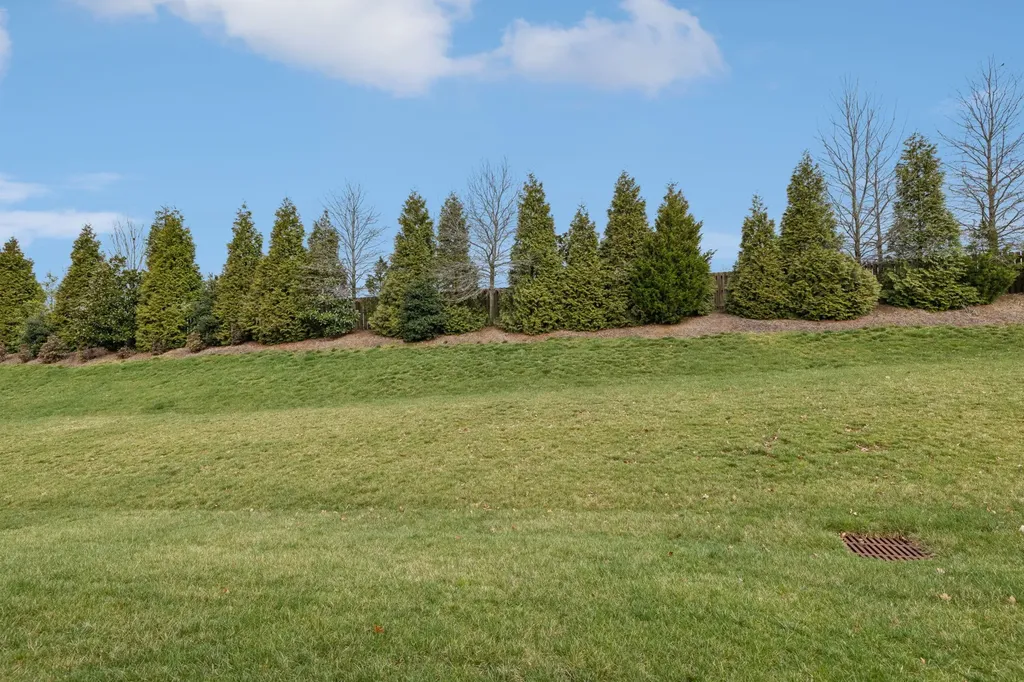 1727 Humphreys Glen Spring Hill TN 37174