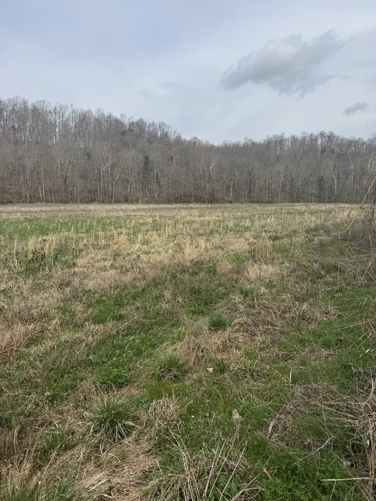 1234 Puncheon Creek Road Lafayette TN 37083