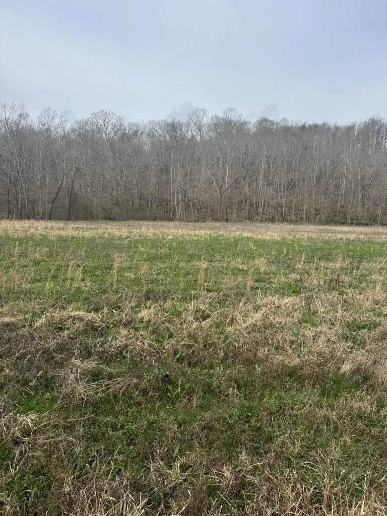 1234 Puncheon Creek Road Lafayette TN 37083