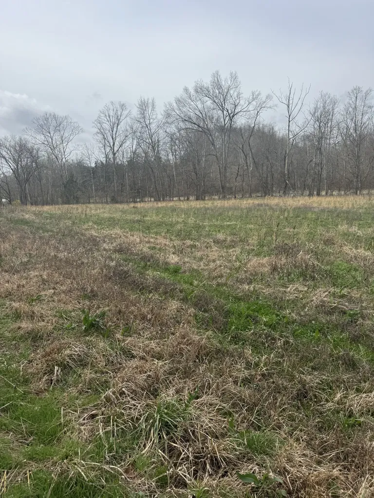 1234 Puncheon Creek Road Lafayette TN 37083
