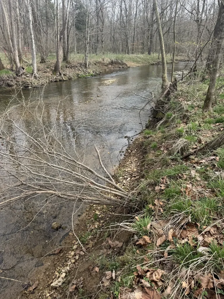 1234 Puncheon Creek Road Lafayette TN 37083