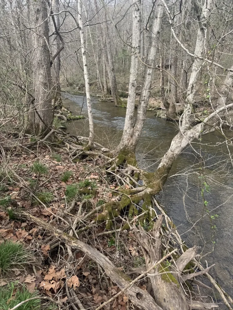 1234 Puncheon Creek Road Lafayette TN 37083